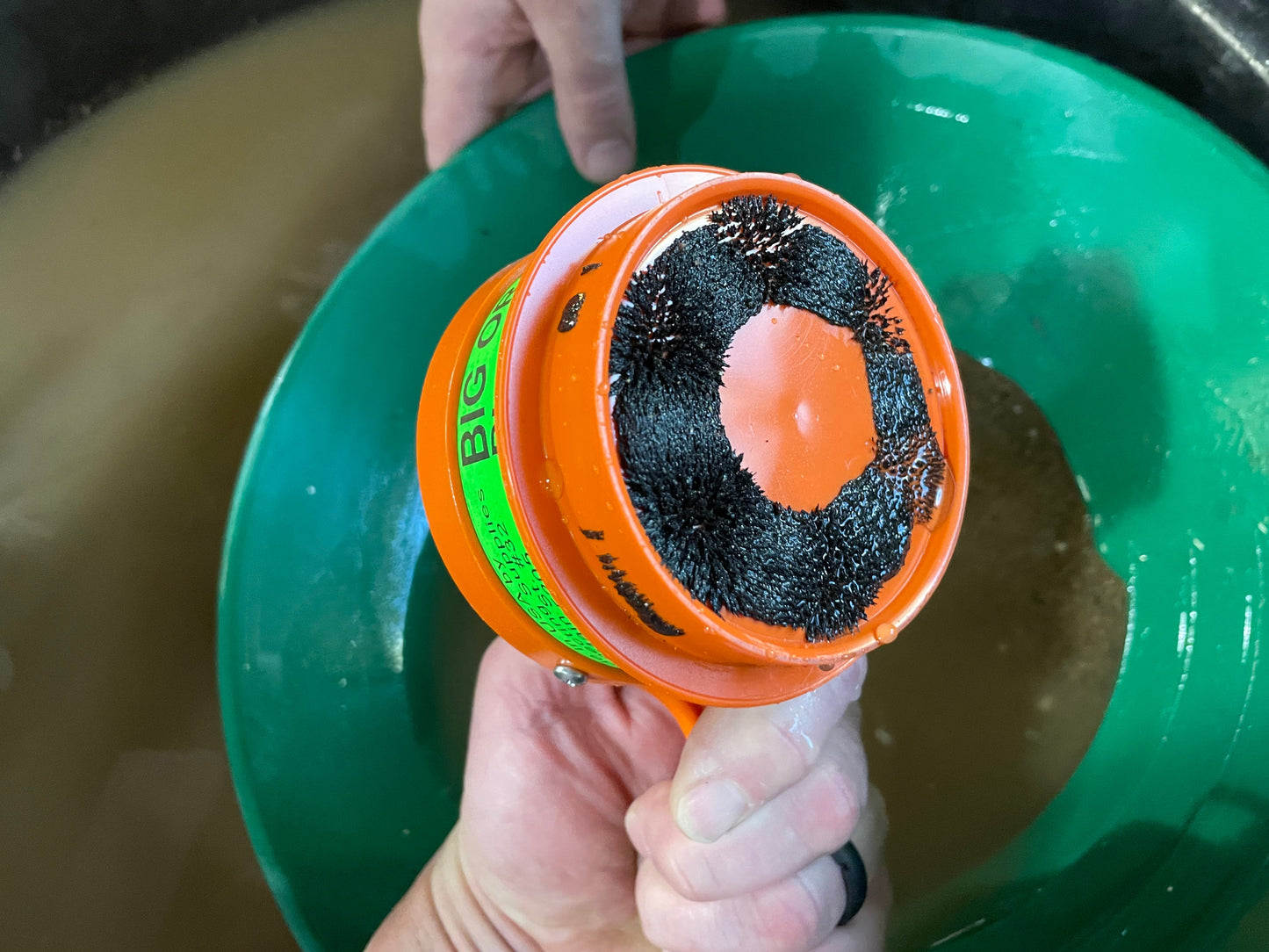 Big Orange Magnet