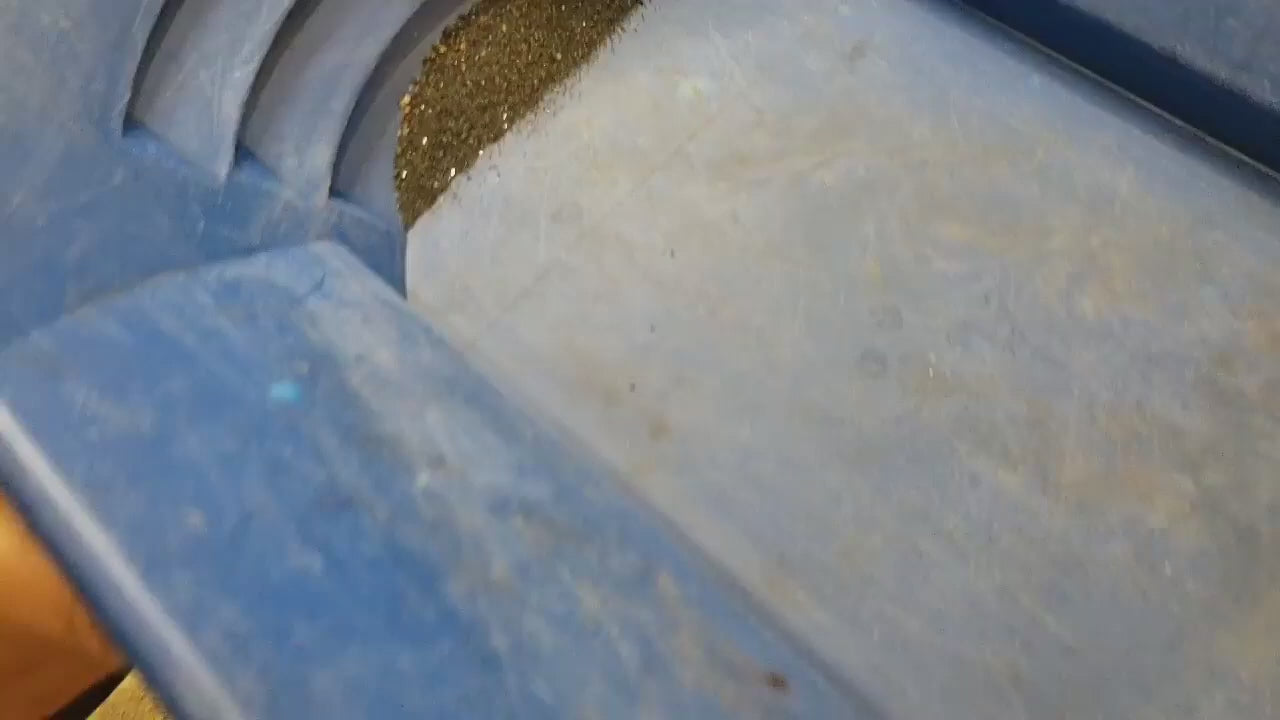 Pulsing Magnetic Field Demonstration