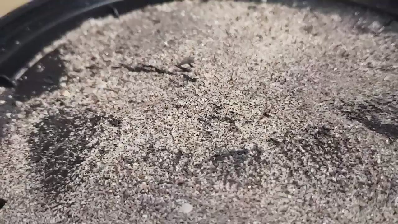 Pulsing Magnetic Field Slow Motion